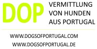 Logo DE wei� klein