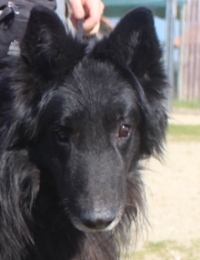 Lucky 2 Start Lucky 2 Start