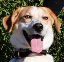 Doby Start Doby Start